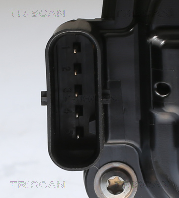 TRISCAN 8813 11023 AGR-Ventil