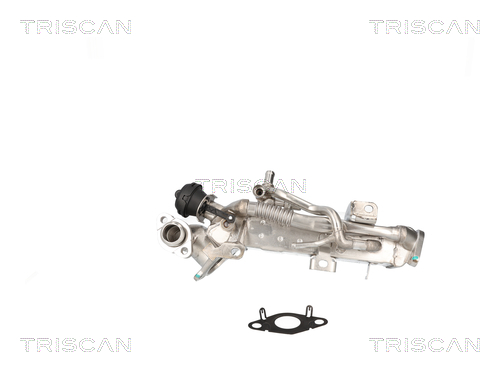 TRISCAN 8813 11024 Kühler, Abgasrückführung