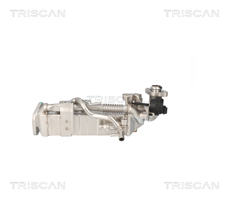 TRISCAN 8813 11024 Kühler, Abgasrückführung