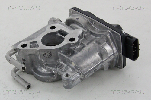 TRISCAN 8813 13021 AGR-Ventil