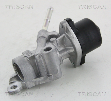TRISCAN 8813 13025 AGR-Ventil
