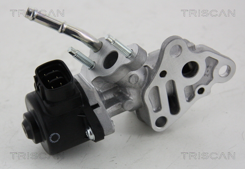 TRISCAN 8813 13025 AGR-Ventil