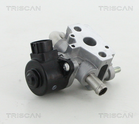 TRISCAN 8813 13052 AGR-Ventil