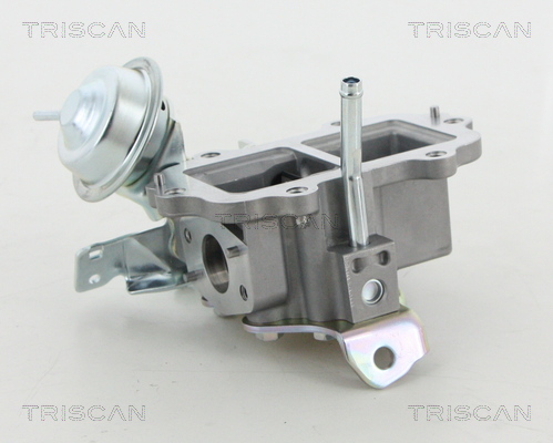 TRISCAN 8813 13056 Agr-Ventil