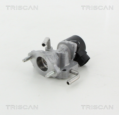 TRISCAN 8813 13059 Agr-Ventil