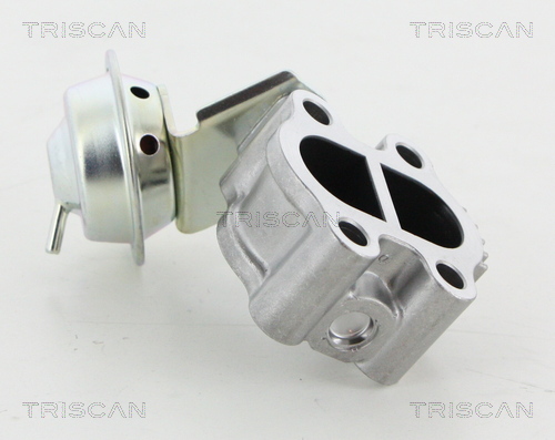 TRISCAN 8813 13060 AGR-szelep