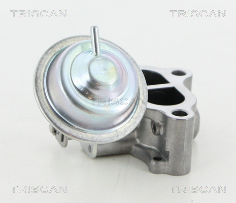 TRISCAN 8813 13065 Agr-Ventil