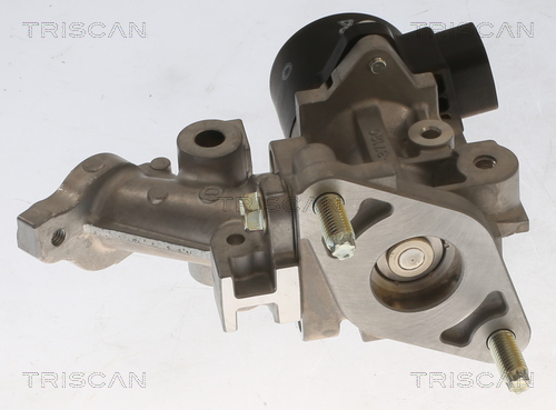 TRISCAN 8813 13067 AGR-Ventil