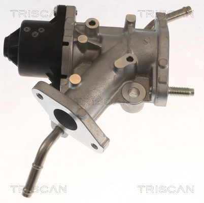 TRISCAN 8813 13068 AGR-Ventil