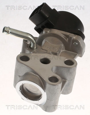 TRISCAN 8813 13069 AGR-Ventil