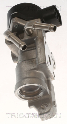 TRISCAN 8813 13070 AGR-Ventil