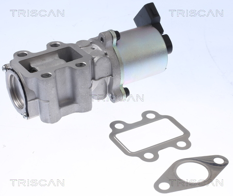 TRISCAN 8813 13100 AGR-Ventil