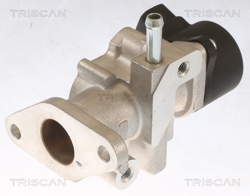 TRISCAN 8813 13104 Agr-Ventil