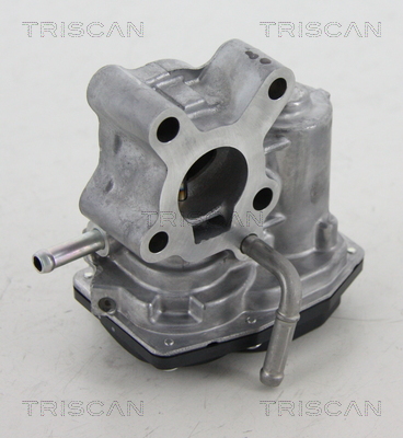 TRISCAN 8813 13200 AGR-Ventil