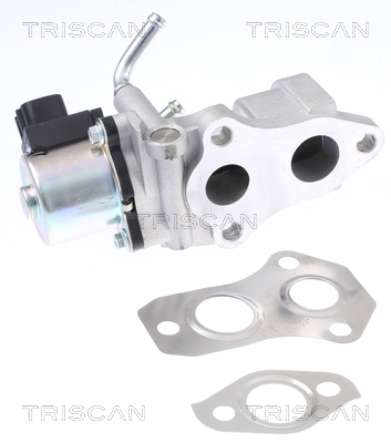 TRISCAN 8813 13201 AGR-Ventil