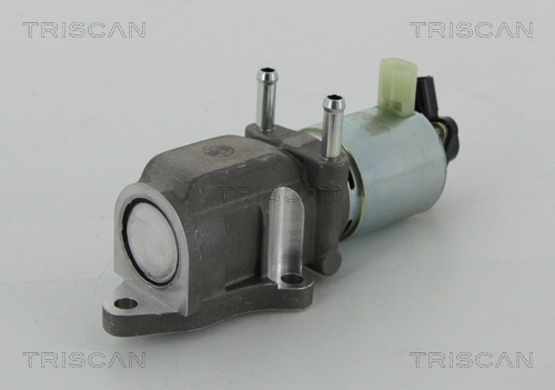 TRISCAN 8813 13202 AGR-Ventil