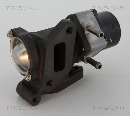 TRISCAN 8813 14005 AGR-Ventil