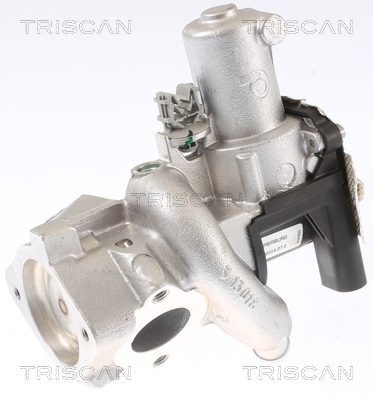 TRISCAN 8813 14006 AGR-Ventil