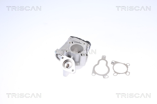 TRISCAN 8813 14025 AGR-Ventil