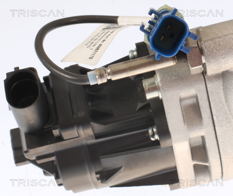 TRISCAN 8813 15001 AGR-Ventil