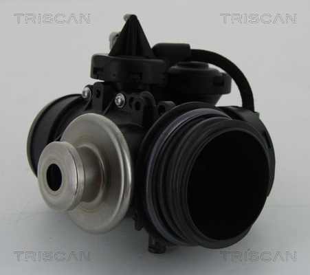 TRISCAN 8813 15056 AGR-Ventil
