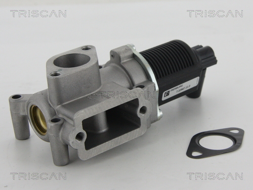 TRISCAN 8813 15063 AGR-Ventil