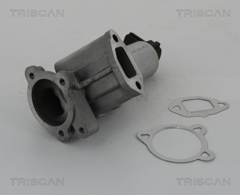 TRISCAN 8813 15069 Agr-Ventil