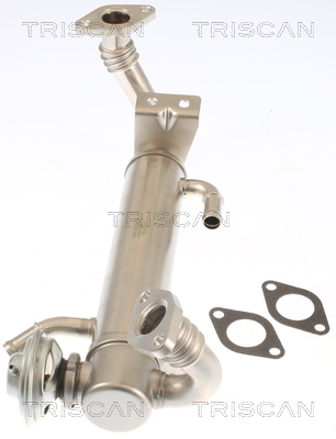 TRISCAN 8813 15074 AGR-Ventil