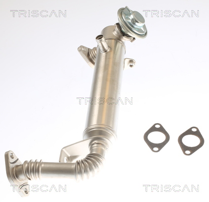 TRISCAN 8813 15075 Kühler, Abgasrückführung