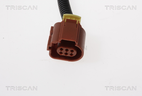 TRISCAN 8813 15100 AGR-Ventil
