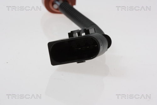 TRISCAN 8813 15100 AGR-Ventil