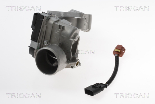 TRISCAN 8813 15100 AGR-Ventil
