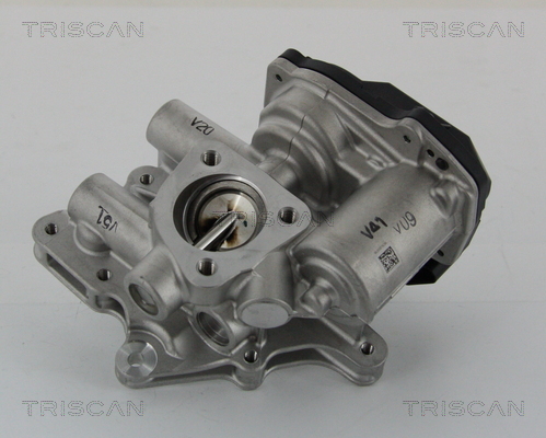 TRISCAN 8813 15205 AGR-Ventil