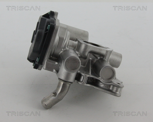 TRISCAN 8813 15205 AGR-Ventil