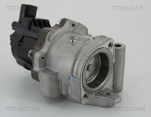 TRISCAN 8813 15207 AGR-Ventil