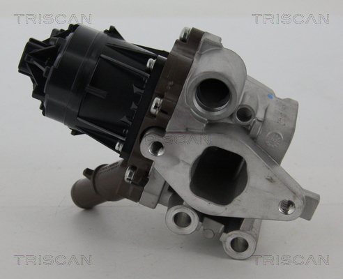 TRISCAN 8813 15207 AGR-Ventil