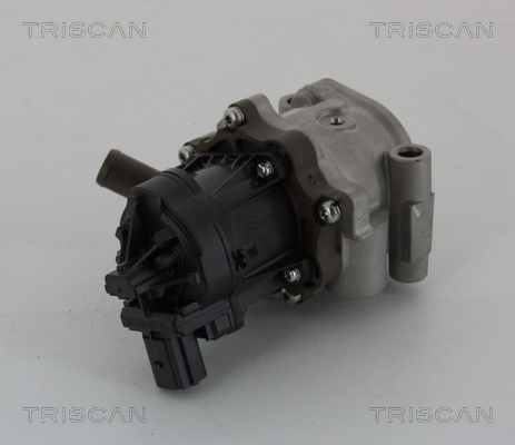 TRISCAN 8813 15208 Agr-Ventil