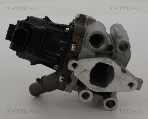 TRISCAN 8813 15208 Agr-Ventil