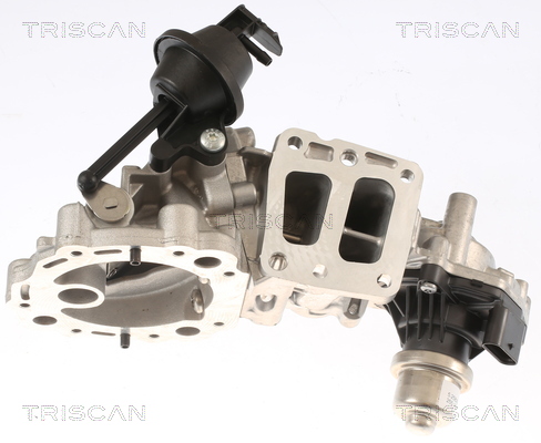 TRISCAN 8813 16001 Agr-Ventil