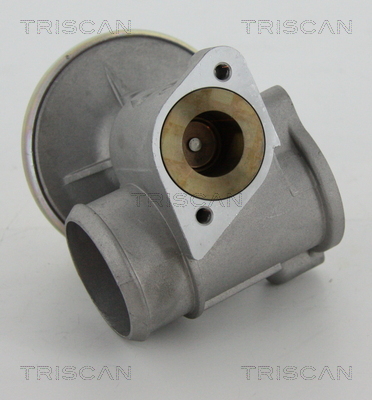 TRISCAN 8813 16010 AGR-Ventil