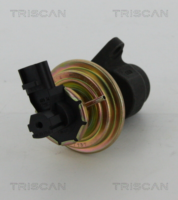 TRISCAN 8813 16030 Agr-Ventil