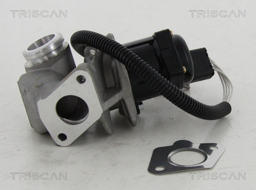TRISCAN 8813 16034 AGR-Ventil