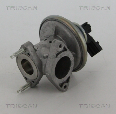 TRISCAN 8813 16043 AGR-Ventil