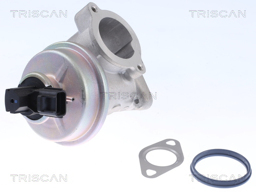 TRISCAN 8813 16054 AGR-Ventil