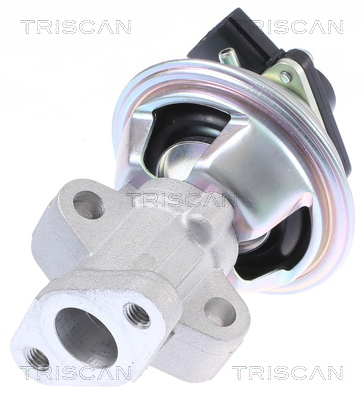 TRISCAN 8813 16069 Agr-Ventil