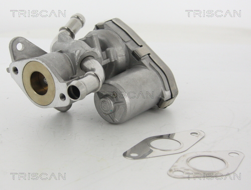 TRISCAN 8813 16100 AGR-Ventil