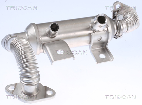 TRISCAN 8813 16103 Kühler, Abgasrückführung