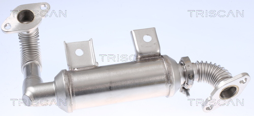 TRISCAN 8813 16103 Kühler, Abgasrückführung
