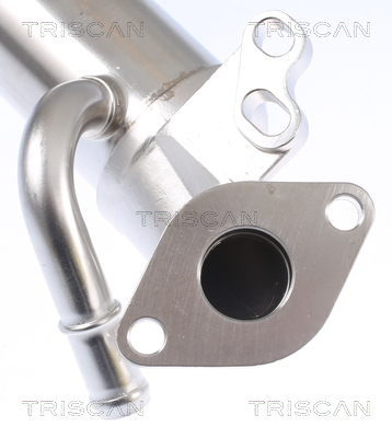 TRISCAN 8813 16110 Kühler, Abgasrückführung