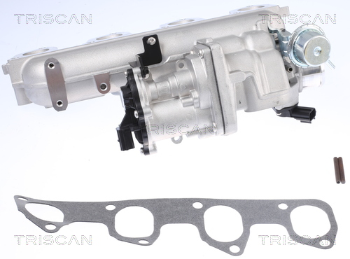 TRISCAN 8813 16155 AGR-Ventil
